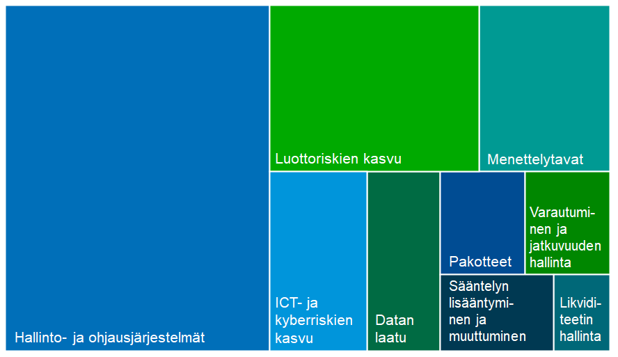 Valvonnan painopistealueet