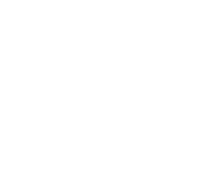 Toimilupia_valk_sv.png